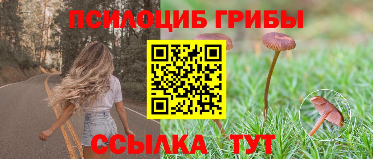 Галлюциногенные грибы прущие грибы Нефтеюганск